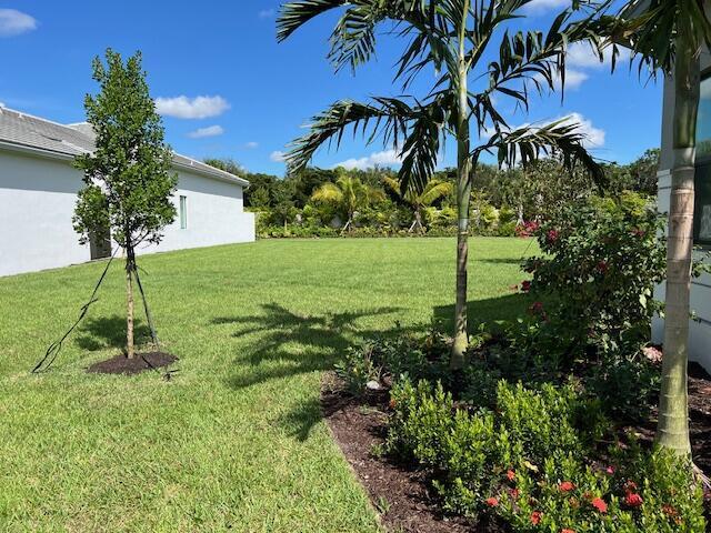 A grassy backyard features a young tree, a palm tree, and a small garden bed — 9741 Spruce Woods Drive, Boynton Beach FL 33473, BOYNTON BEACH, FL