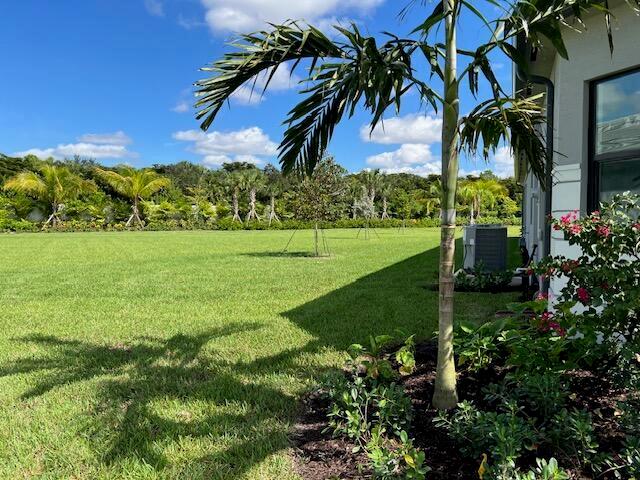 A view of a large backyard with a palm tree, landscaping, and a house exterior — 9741 Spruce Woods Drive, Boynton Beach FL 33473, BOYNTON BEACH, FL
