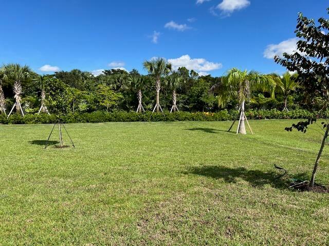 A grassy lawn features several young palm trees and a clear blue sky above — 9741 Spruce Woods Drive, Boynton Beach FL 33473, BOYNTON BEACH, FL