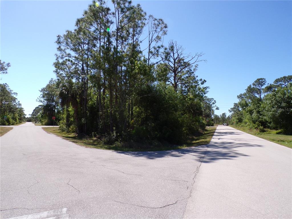 A paved road forks into two directions in a wooded area under a clear sky — 11383 10TH AVENUE, PUNTA GORDA, FL