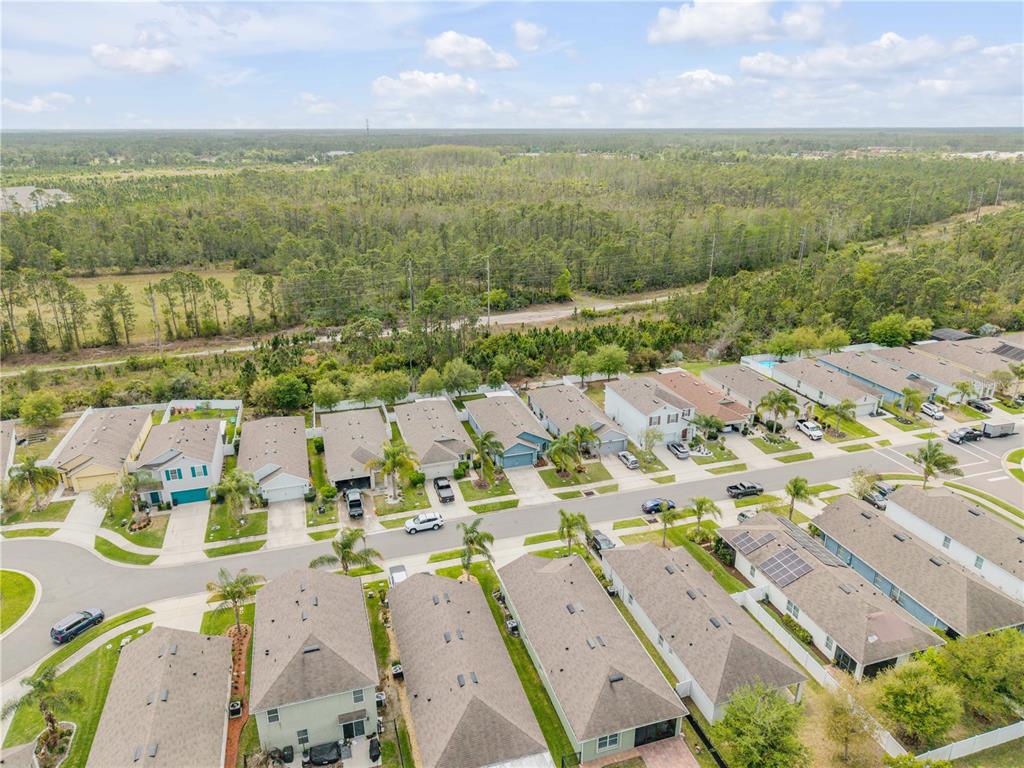An aerial view shows a suburban neighborhood with single-family homes and a wooded area behind — 2820 TATON TRACE, NEW SMYRNA BEACH, FL