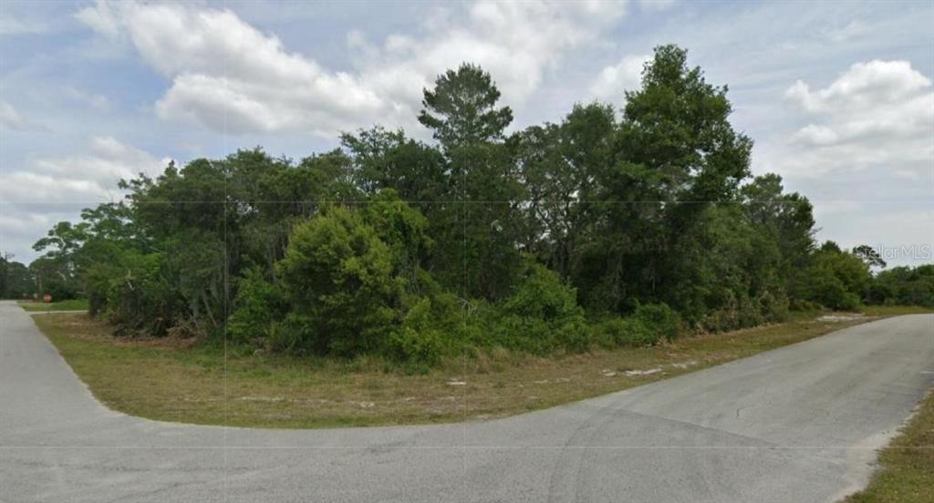A vacant, wooded corner lot sits at the intersection of two paved residential streets — 430 GRANT AVENUE NE, LAKE PLACID, FL