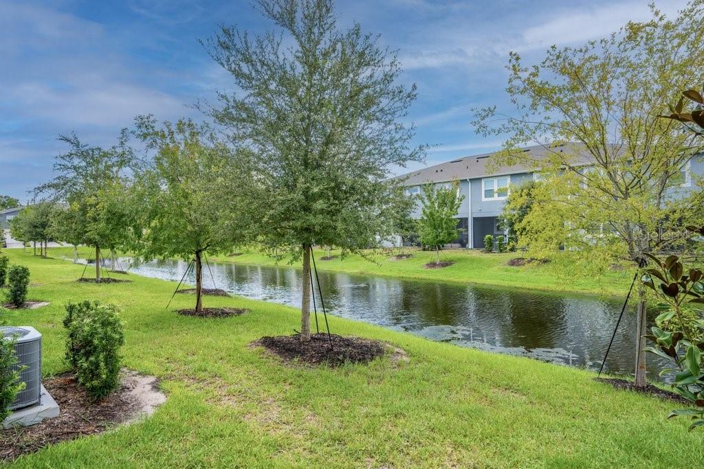 A view of a grassy backyard with young trees bordering a small pond and townhomes — 3463 TIMBER CROSSING AVENUE, BRANDON, FL