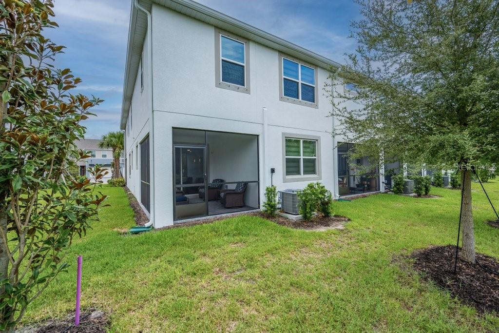 The exterior rear view of a two-story house features a screened-in patio and green lawn — 3463 TIMBER CROSSING AVENUE, BRANDON, FL