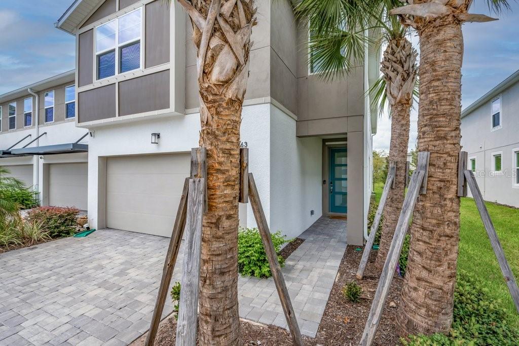 A two-story townhouse exterior features a garage, a teal front door, and two palm trees — 3463 TIMBER CROSSING AVENUE, BRANDON, FL