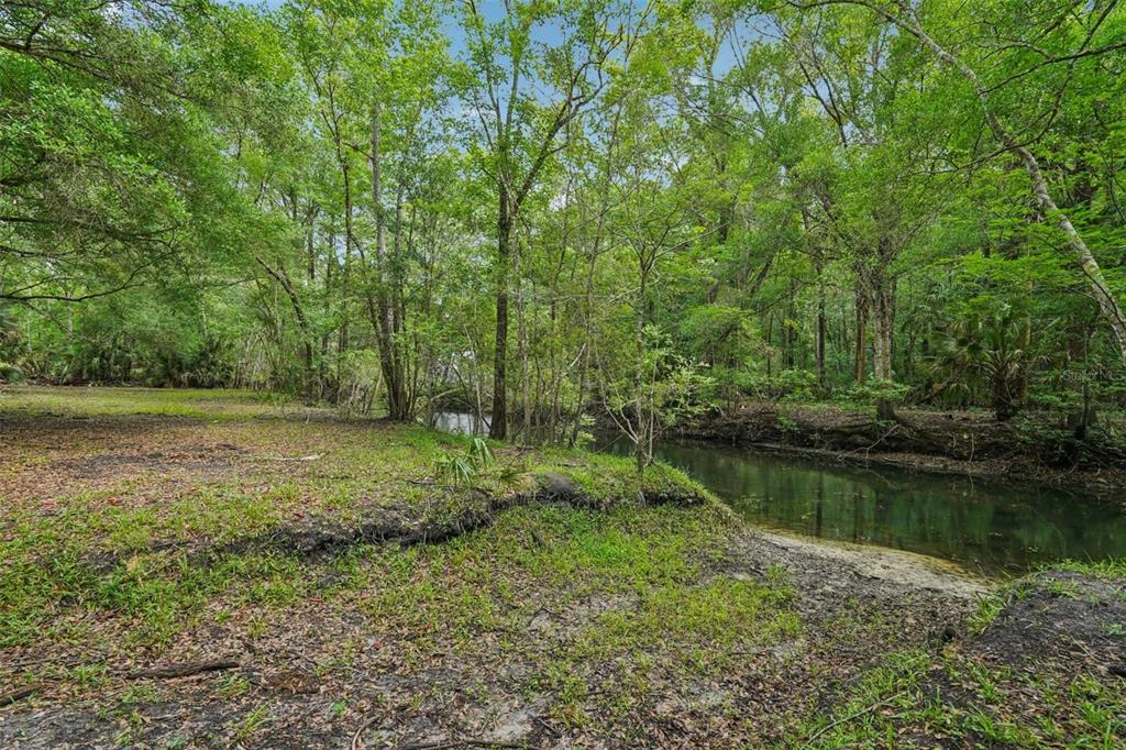217 S TUCK POINT, INVERNESS, FL — photo 4 of 30