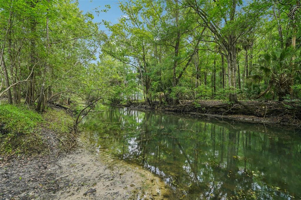 217 S TUCK POINT, INVERNESS, FL — photo 5 of 30