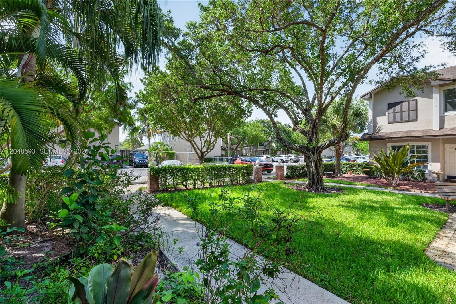 A view of a grassy front yard with a large tree and a paved walkway — 3835 NW 122nd Ter, Sunrise FL 33323, SUNRISE, FL