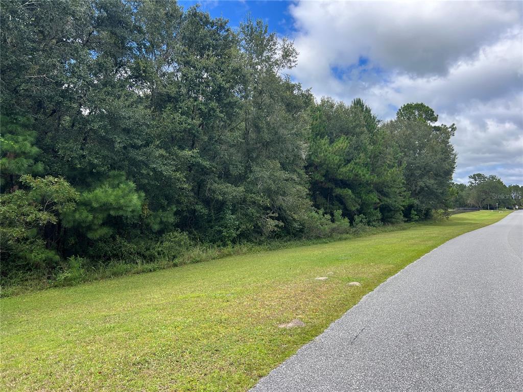 TBD NW 145TH AVENUE, WILLISTON, FL — photo 4 of 7