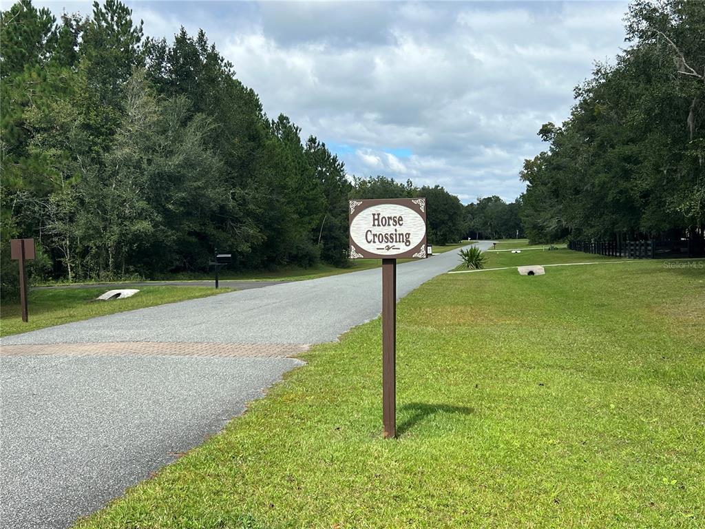 TBD NW 145TH AVENUE, WILLISTON, FL — photo 5 of 7