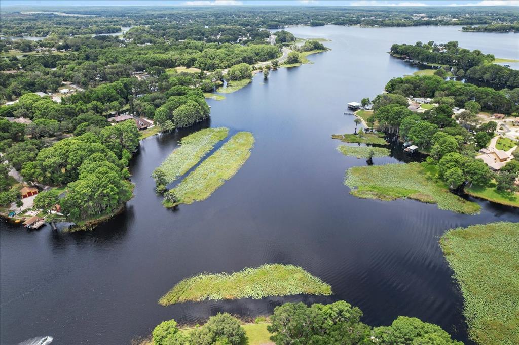 An aerial view of a lake featuring several patches of lily pads and surrounding trees — 1226 S TELEPHONE POINT ROAD, INVERNESS, FL