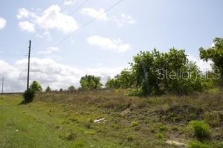 A vacant, grassy lot with scattered trees under a blue sky with clouds — KOKOMO ROAD NE, HAINES CITY, FL