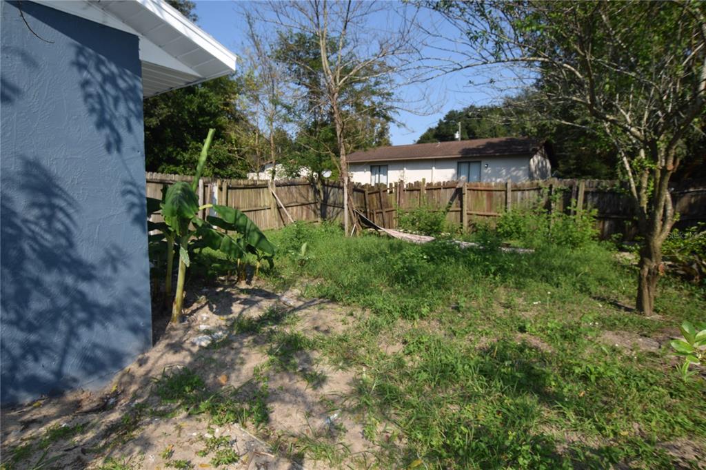 A backyard with a blue house wall, a wooden fence, and overgrown grass and trees — 911 NW 59TH COURT, OCALA, FL