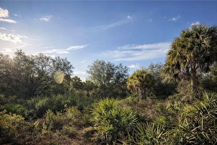 A view of a wooded lot featuring various palm trees and native Florida vegetation — 0 NW 294th, Okeechobee FL 34974, OKEECHOBEE, FL
