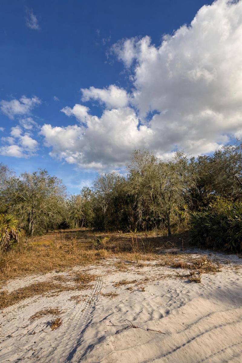 A sandy clearing leads to a dense line of trees under a blue, cloudy sky — 0 NW 294th, Okeechobee FL 34974, OKEECHOBEE, FL
