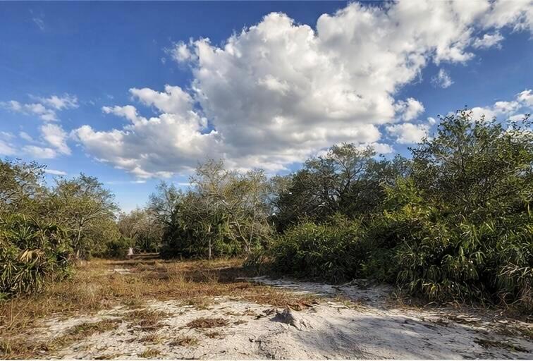 A sandy path leads through a wooded area under a bright blue sky with clouds — 0 NW 294th, Okeechobee FL 34974, OKEECHOBEE, FL