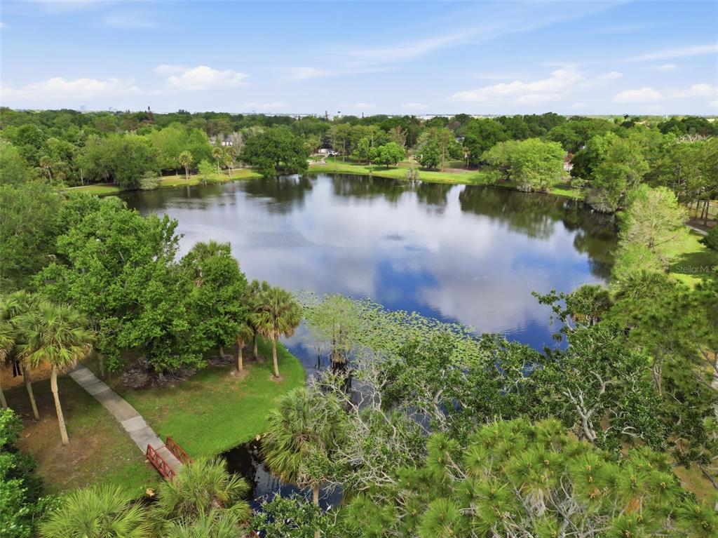 An aerial view shows a calm lake surrounded by lush green trees and palm trees — 5345 AVON COURT, ORLANDO, FL