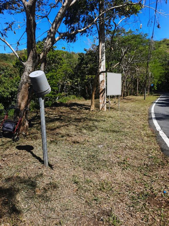 A roadside view shows a metal post with a bucket, a blank sign, and a walker — BARRERO STREET, RINCON, PR