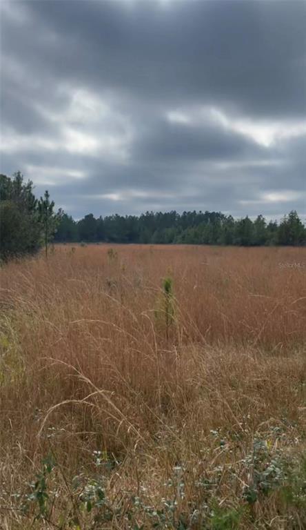 A wide, grassy field stretches toward a line of trees under a cloudy sky — NE 124TH TER, FORT MC COY, FL