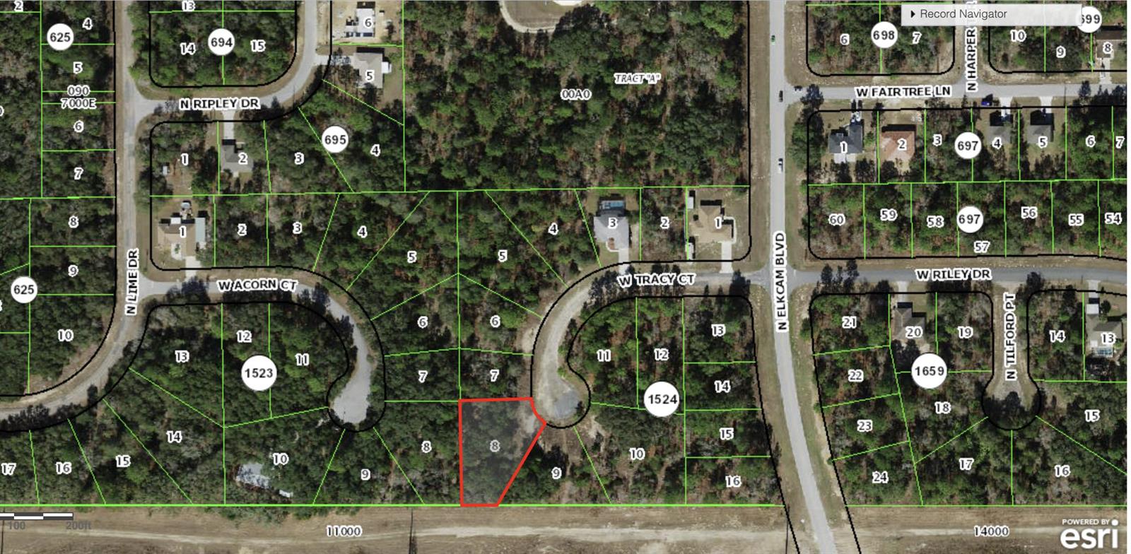 This is a map showing a highlighted vacant residential lot in a wooded suburban neighborhood — 2770 W Tracy Court, FL 34433, FL