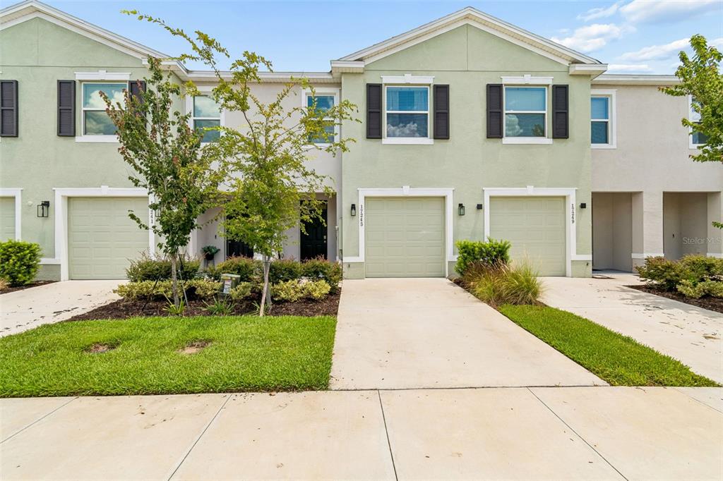 A row of light green townhouses with attached garages and concrete driveways under a blue sky — 17245 AMBER ASPEN WAY, LAND O LAKES, FL