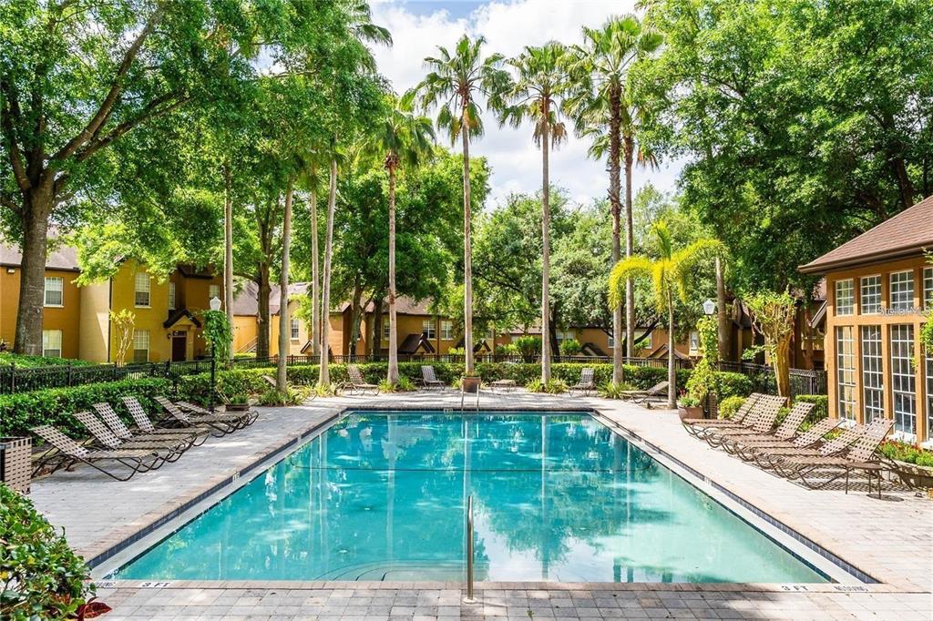 A rectangular swimming pool surrounded by lounge chairs, palm trees, and apartment buildings — 6308 RALEIGH STREET UNIT 311, ORLANDO, FL