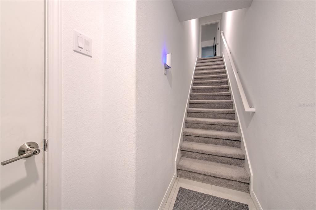A staircase with gray carpet leads upward between white walls next to a closed door — 4722 TUSCAN LOON DRIVE, TAMPA, FL