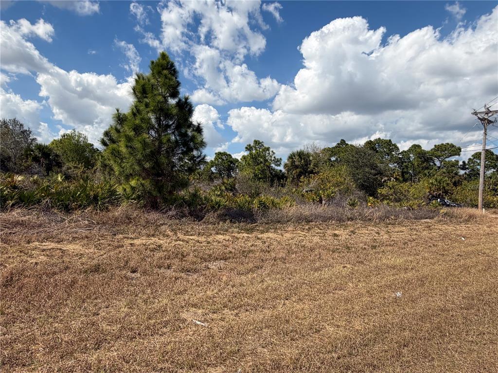A grassy, undeveloped lot features scattered trees and shrubs under a bright, cloudy sky — 524 COLUMBUS BOULEVARD S, LEHIGH ACRES, FL