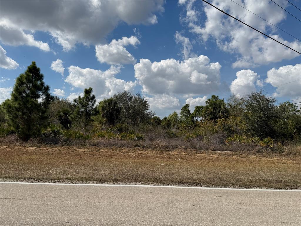 A view of a vacant, overgrown lot with trees and shrubs along a paved road — 524 COLUMBUS BOULEVARD S, LEHIGH ACRES, FL