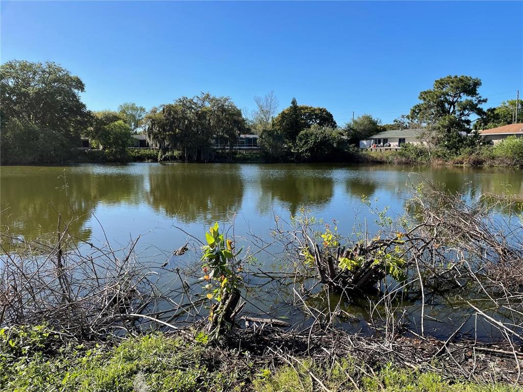A view of a pond surrounded by trees and residential houses under a clear sky — 5736 COLONIAL DRIVE, NEW PORT RICHEY, FL