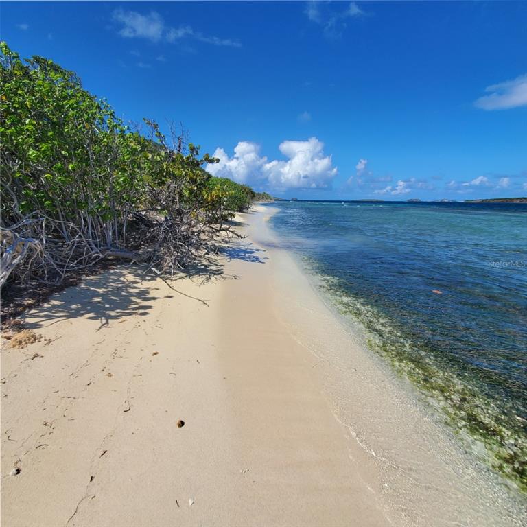 A sandy beach stretches along a clear blue ocean next to a line of trees — 8C BARRIO FRAILES, CULEBRA, PR