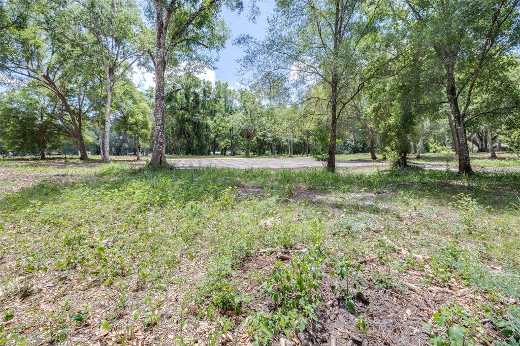 A grassy, wooded lot with a cleared, flat area visible in the background — SE 124TH AVENUE, WEBSTER, FL