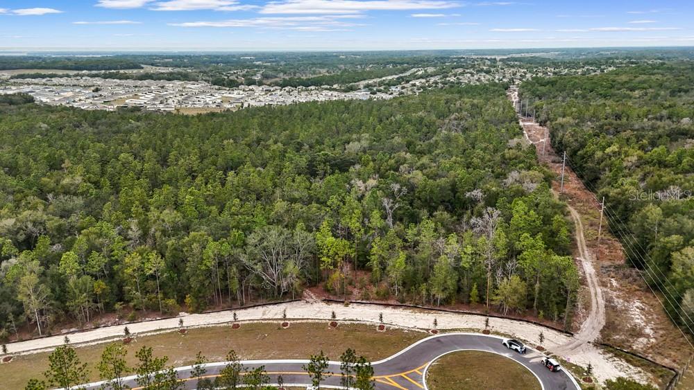 An aerial view shows a curved road bordering a large, wooded plot of undeveloped land — 5937 STONEYBROOK HILLS PARKWAY, MOUNT DORA, FL