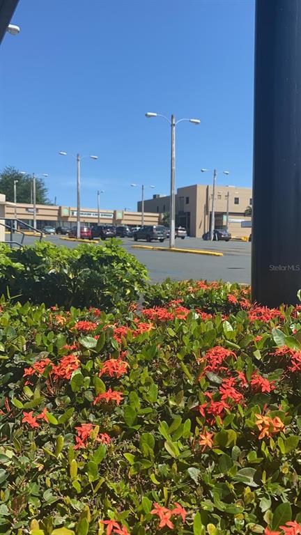 A parking lot with light poles and commercial buildings is visible behind a flowering hedge — 167 N RAMON L RIVERA, KM 21,3,FOREST HILLS PLAZA AVENUE N UNIT 2, BAYAMON, PR