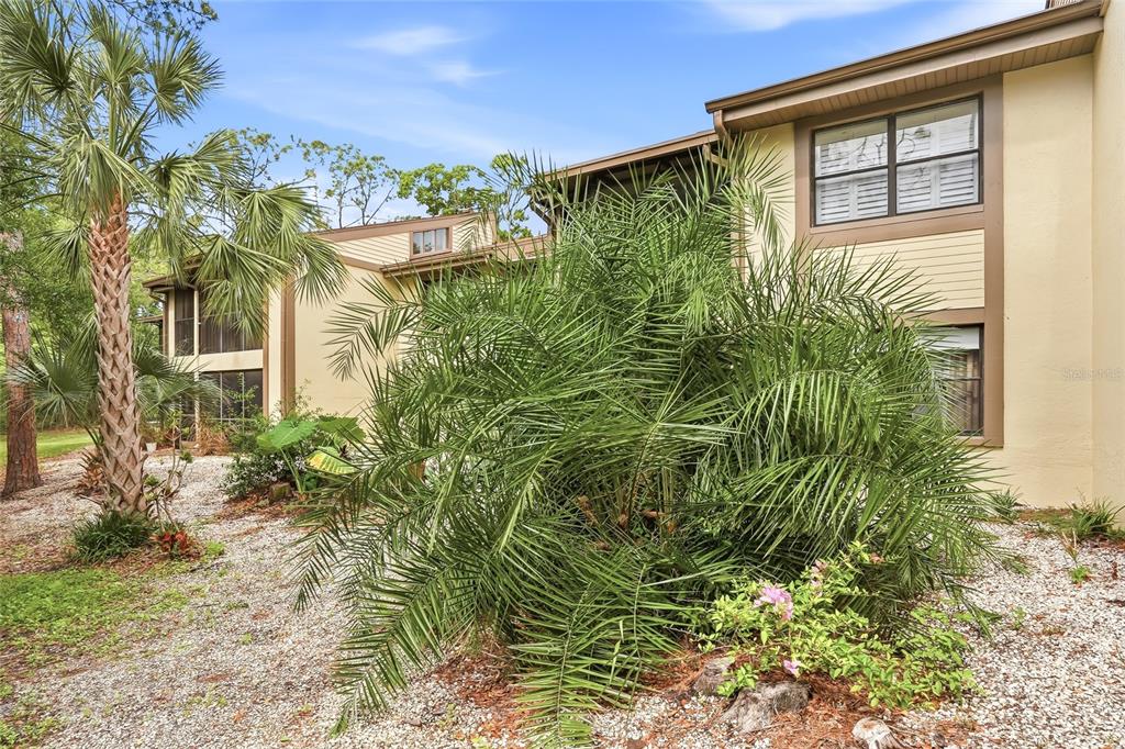 A two-story tan building exterior features a large palm tree and gravel landscaping — 130 WOODLAKE WYNDE UNIT 130, OLDSMAR, FL