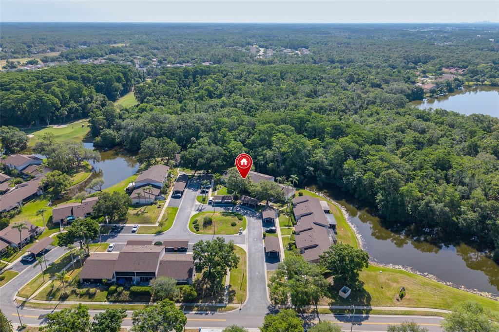 An aerial view shows a residential complex surrounded by trees and a pond — 110 INGRID PLACE, OLDSMAR, FL