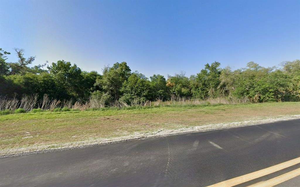 A paved road runs alongside a grassy lot bordered by a dense line of trees — 16213 HILLSBOROUGH BOULEVARD, PORT CHARLOTTE, FL
