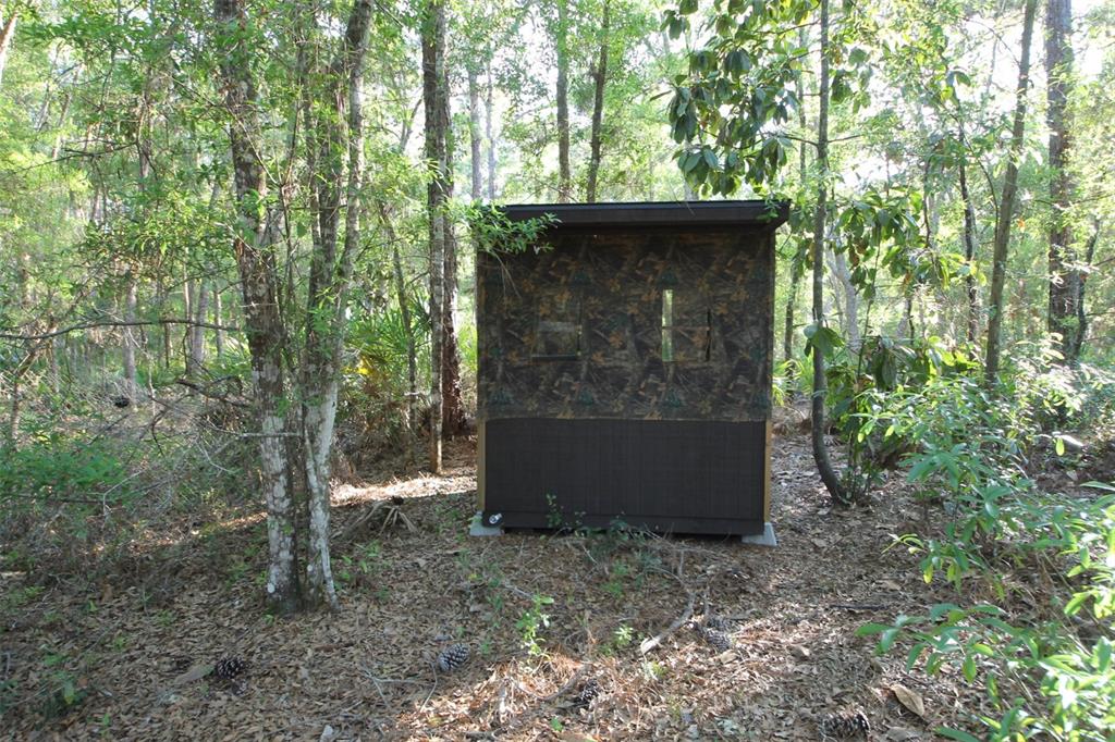 A camouflage-patterned hunting blind sits in a wooded area on a bed of fallen leaves — 7982 W MAYFAIR DRIVE, HOMOSASSA, FL