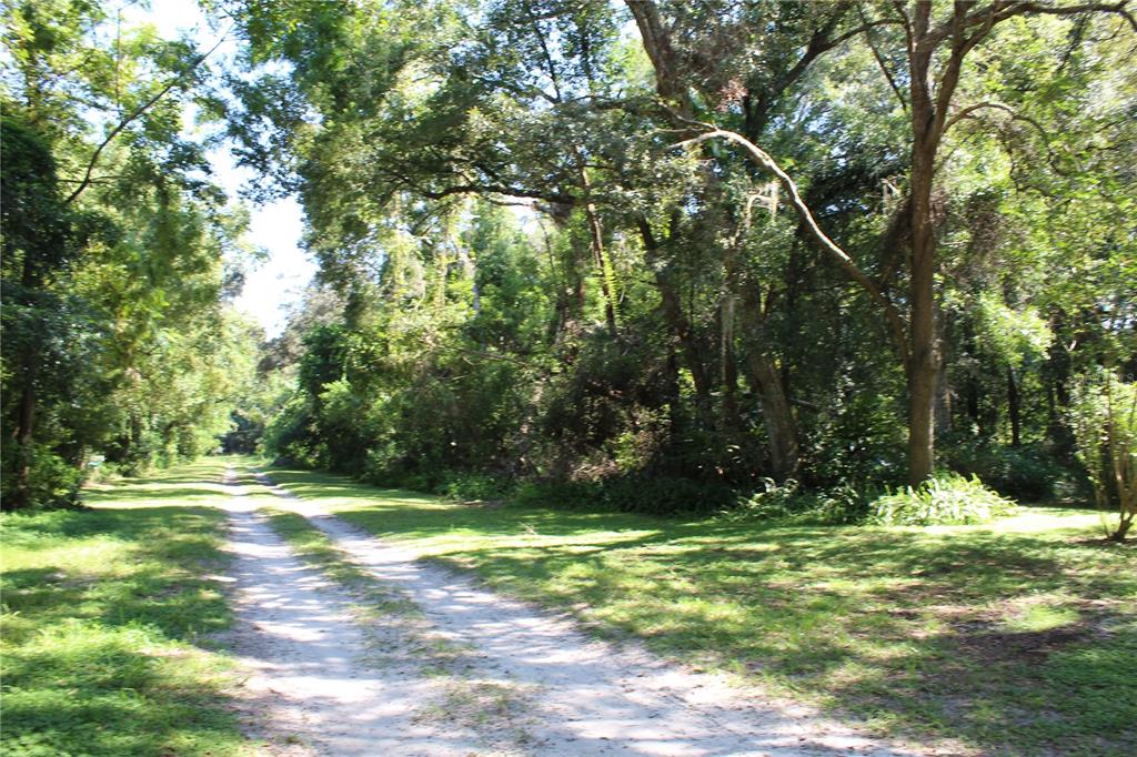 A dirt path leads through a grassy area surrounded by dense trees and foliage — GRAND AVENUE, BROOKSVILLE, FL