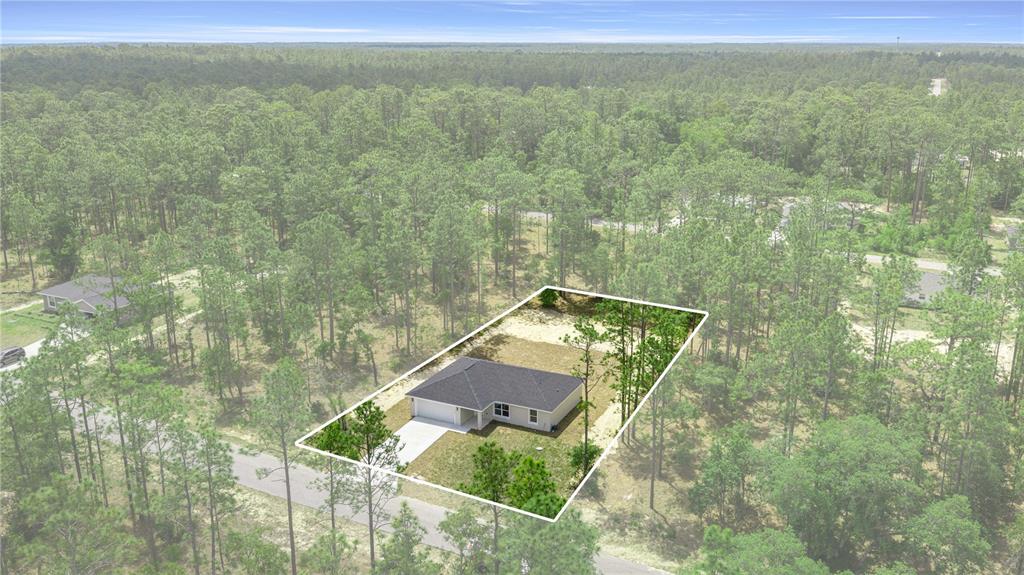 An aerial view shows a single-story house situated on a wooded lot — 24128 NW GERANIUM AVENUE, DUNNELLON, FL