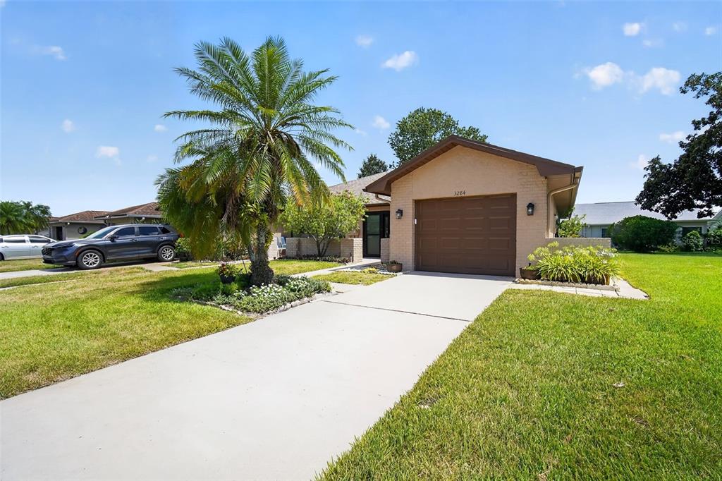 A single-story house with a brown garage door, a palm tree, and a concrete driveway — 3284 GORSE COURT, PALM HARBOR, FL