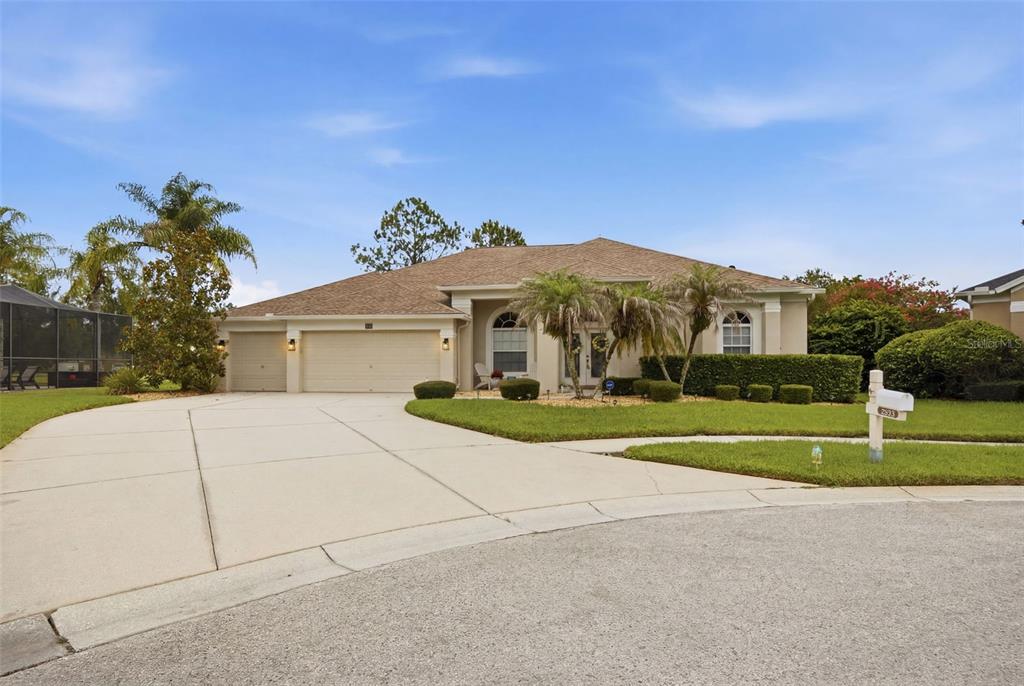 25651 FERDINAND COURT
