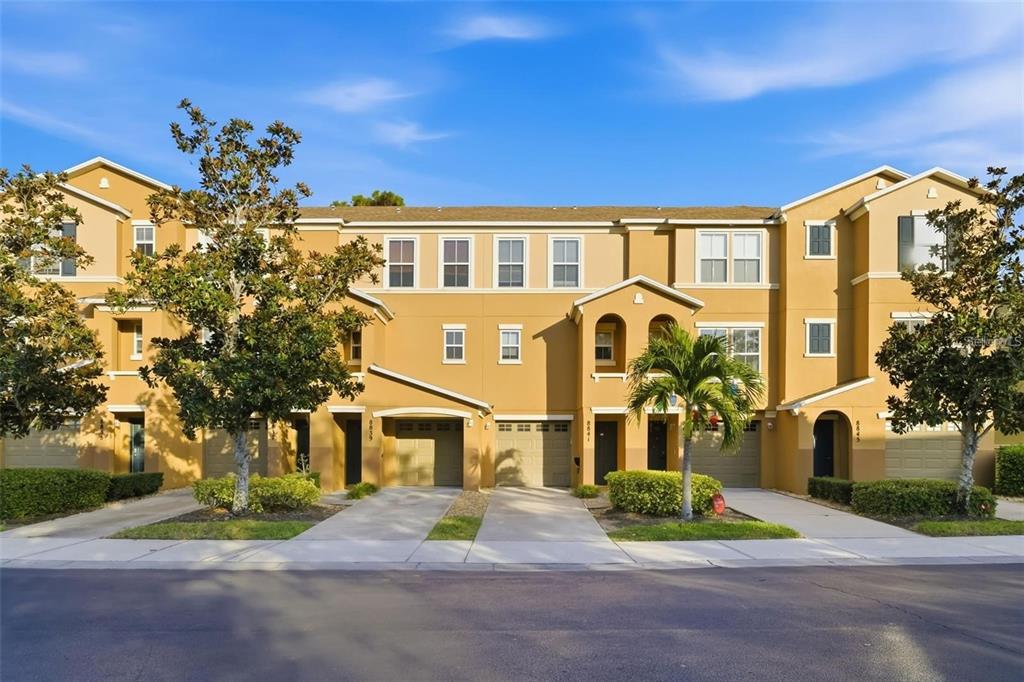 8841 WHITE SAGE LOOP