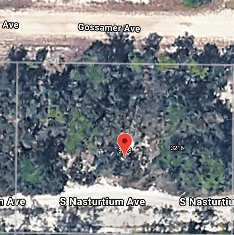 This is a satellite map view of a wooded residential lot — 3218 GOSSAMER AVENUE, LAKE PLACID, FL