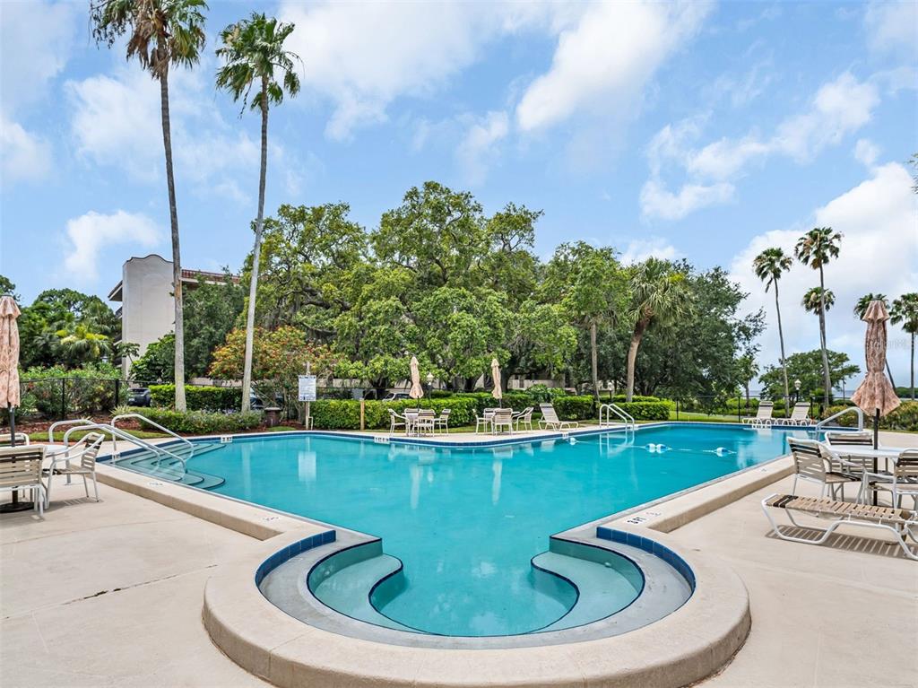 An outdoor swimming pool with a curved entry step area surrounded by trees and lounge chairs — 504 S FLORIDA AVENUE UNIT 235, TARPON SPRINGS, FL