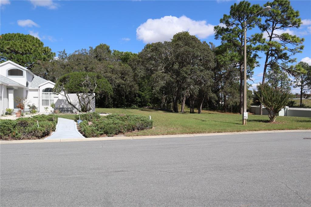 A paved walkway leads to a house next to a vacant, grassy lot with trees — 11053 VIA SANTIAGO COURT, SPRING HILL, FL