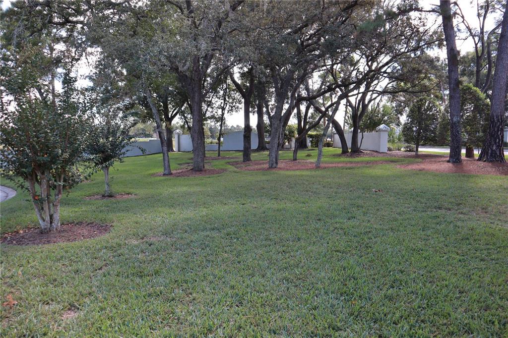 A grassy yard features several large trees and a white wall in the background — 11053 VIA SANTIAGO COURT, SPRING HILL, FL