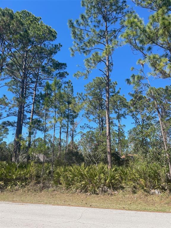 36 SEAGOING TRAIL