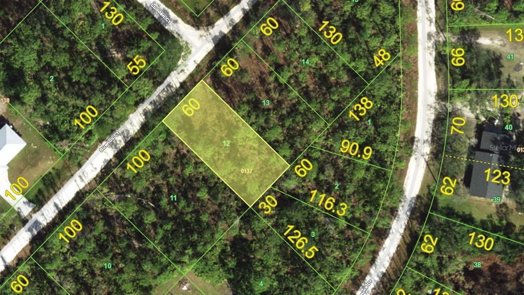 This is a satellite map showing a highlighted vacant residential lot with property dimensions — 12166 BUENOS COURT, PUNTA GORDA, FL