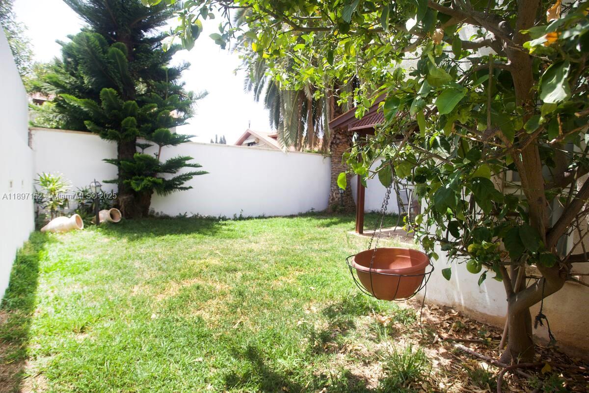 A grassy backyard features a hanging planter, a citrus tree, and a white perimeter wall — Hapiyyus 10, IL 4681400, IL